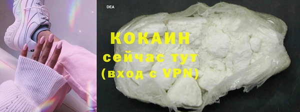 тгк Богородицк