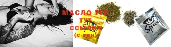 тгк Богородицк