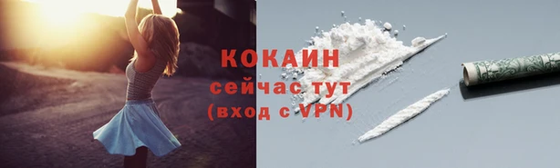 тгк Богородицк