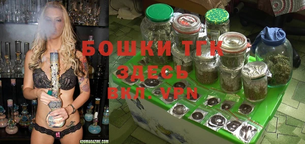 амф Богданович