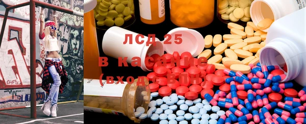 амф Богданович