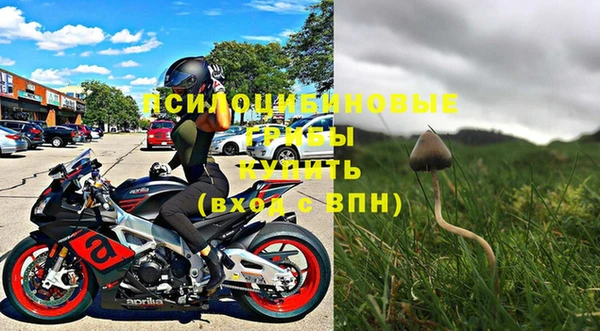 амф Богданович